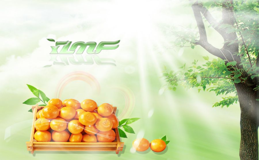�Ϻ�ũ����ҵ����