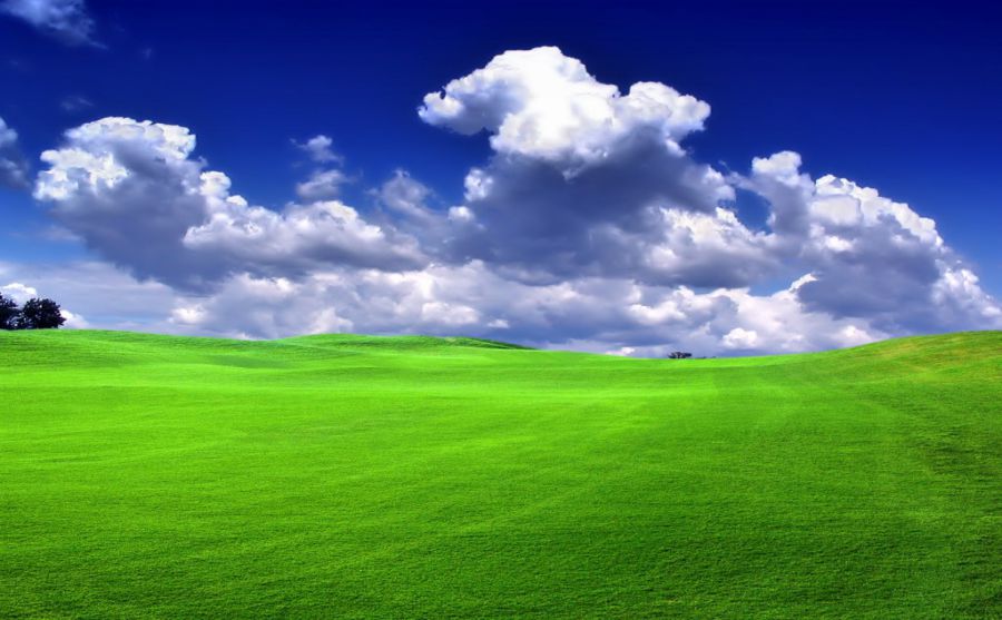 �㶫����ʦ��ѧԺͼƬ