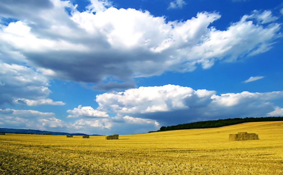 �й��������߳��˸߿�ͼƬ