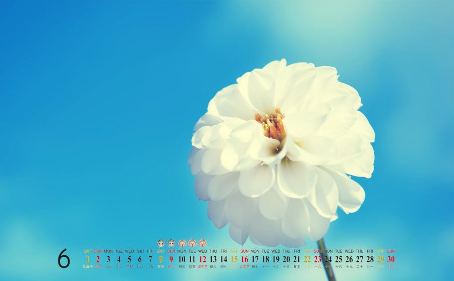 QQ����ͼƬ
